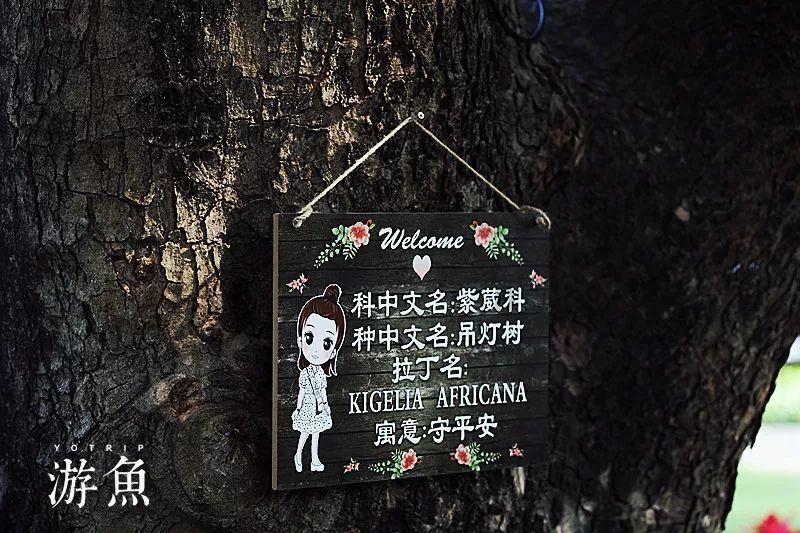 为什么人总有那么多的感慨与抱怨？游戏画面