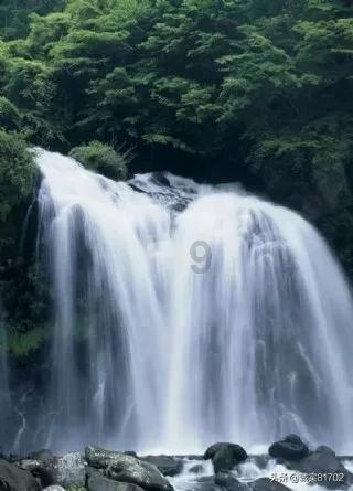 重庆艺术年货节明日启幕 带一件名家作品回家过年